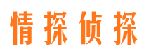 南岳私人侦探